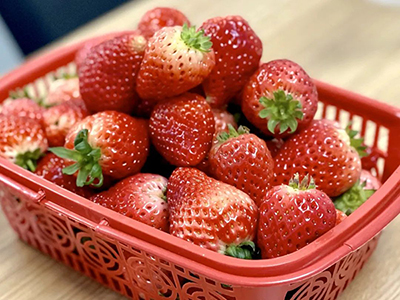 �������� �������ڡ����첩ƽ̨app�����������ϡ�Ů��ڡ����ⱨ��